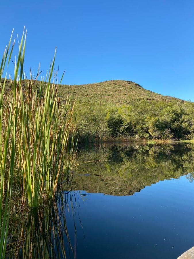 The Retreat At Groenfontein 卡利茨多普 外观 照片