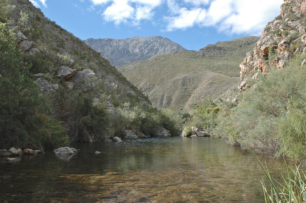 The Retreat At Groenfontein 卡利茨多普 外观 照片