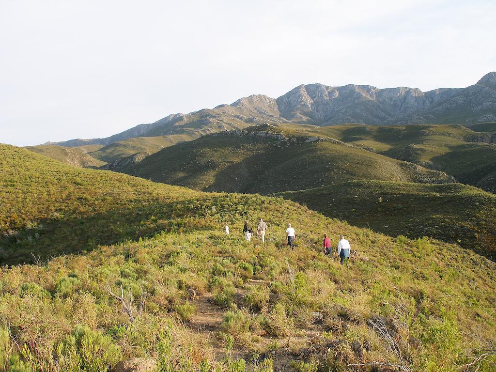 The Retreat At Groenfontein 卡利茨多普 外观 照片